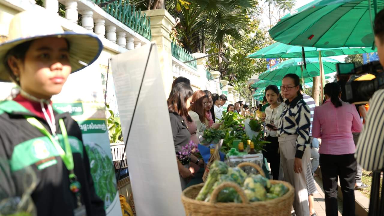 ក្រសួងកសិកម្ម រៀបចំឱ្យមានការដាក់តាំងលក់ផលិតផលកសិកម្ម និងបន្លែសុវត្ថិភាព នៅថ្ងៃទី១៤ កុម្ភៈ ទិវានៃក្តីស្រឡាញ់